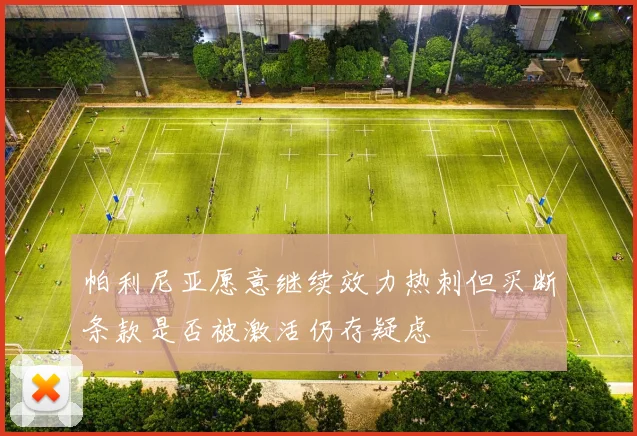 帕利尼亚愿意继续效力热刺但买断条款是否被激活仍存疑虑